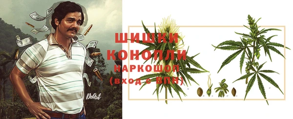 бошки Богданович