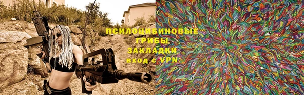 бошки Богданович