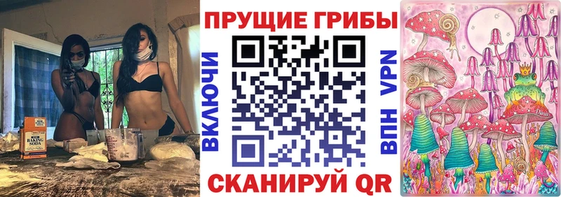 Купить где  Бирюч  Псилоцибиновые грибы Psilocybine cubensis 